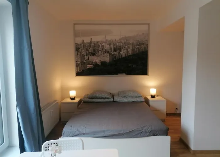Brand New Studio Apartment # 45 With Free Parking In The City Center