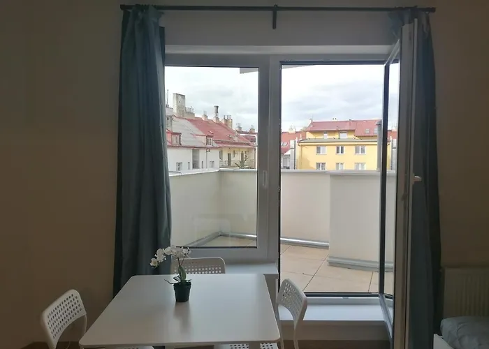 Brand New Studio Apartment # 45 With Free Parking In The City Center